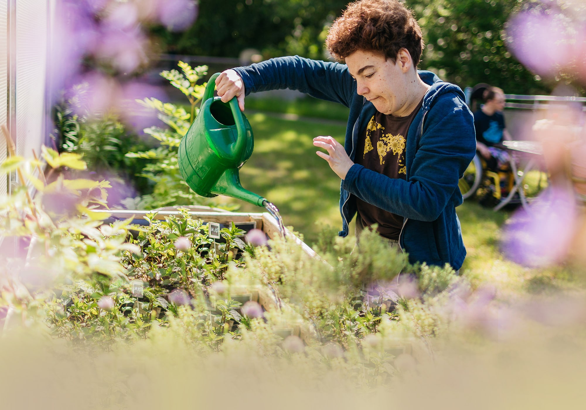 Teaserbild für das Angebot