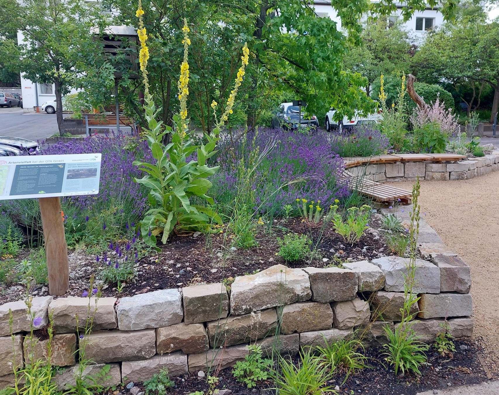 Teaserbild für das Angebot